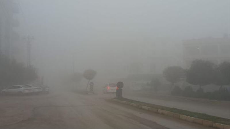 Reyhanlı’da sisli hava görüş mesafesi 10-15 metreye kadar düştü