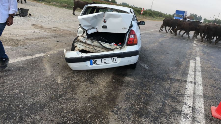 Kozan Ceyhan  yolunda trafik kazası 1 ölü 1 yaralı  