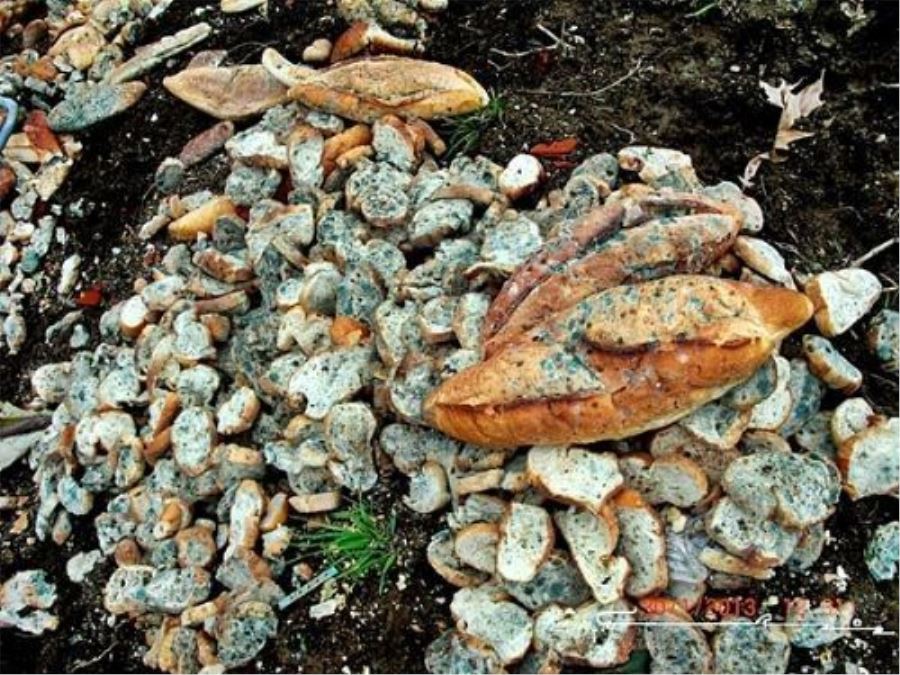 Kozan’da ayda 200 bin ekmek israf oluyor