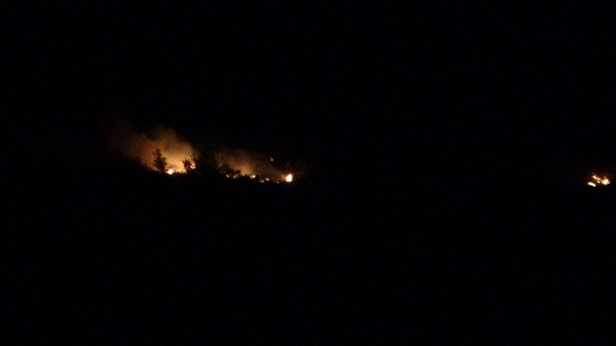 Kozan’da iki ayrı noktada orman yangını