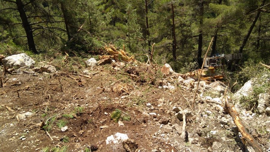 Orman yolu açan operatör hayatını kaybetti