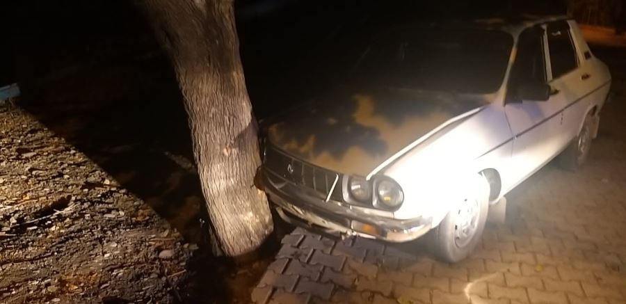Dut ağacına çarpan otomobil sürücüsü yaralandı