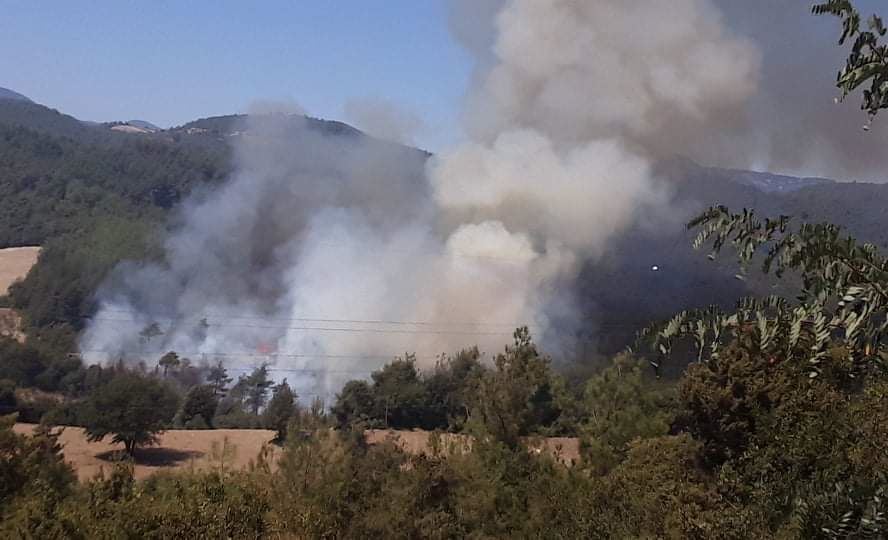 Boztahta’da orman yangını çıktı
