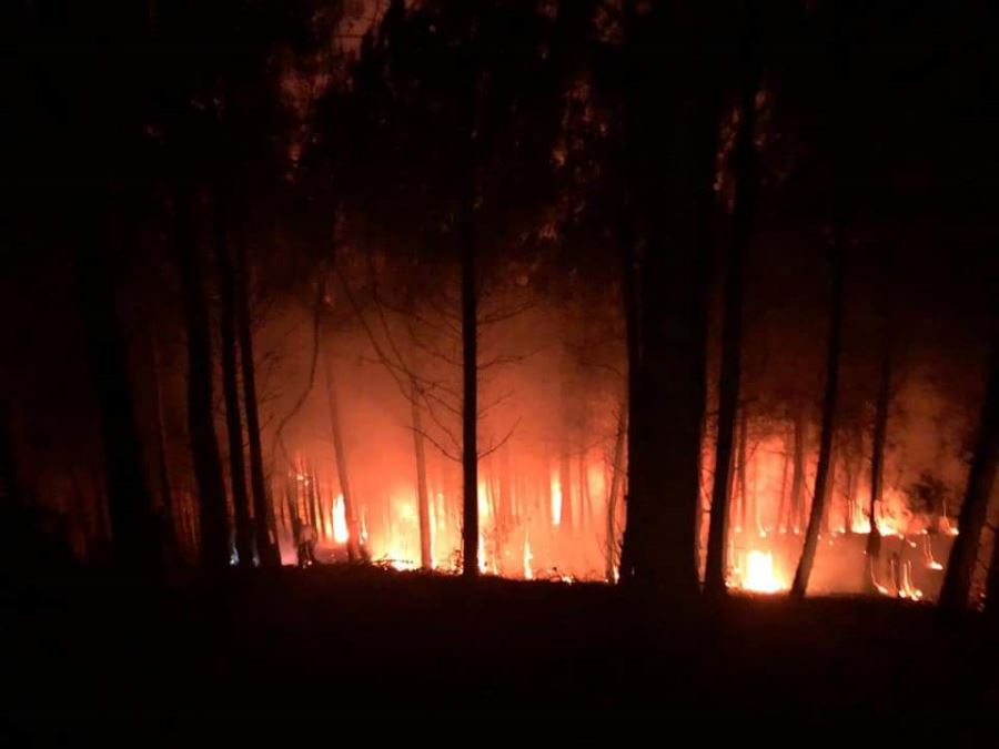 Akdam’da orman yangını