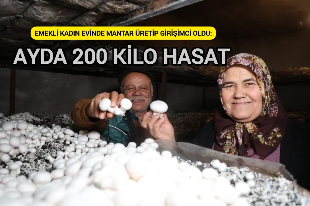 Emekli kadın evinde mantar üretip girişimci oldu:  AYDA 200 KİLO HASAT 