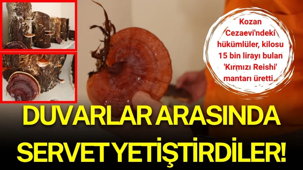 DUVARLAR ARASINDA SERVET YETİŞTİRDİLER!
