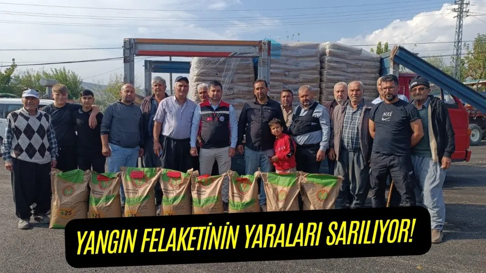 YANGIN FELAKETİNİN YARALARI SARILIYOR! 