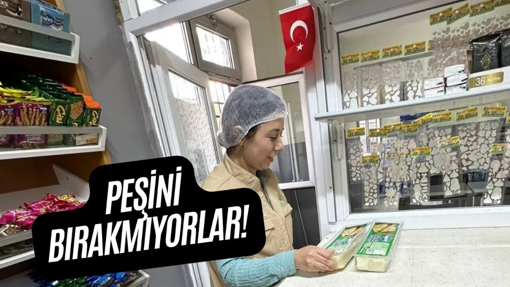 PEŞİNİ BIRAKMIYORLAR!
