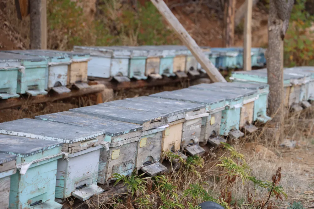 SICAKTAN KAÇAMADILAR, KURBAĞALARA YEM OLDULAR!