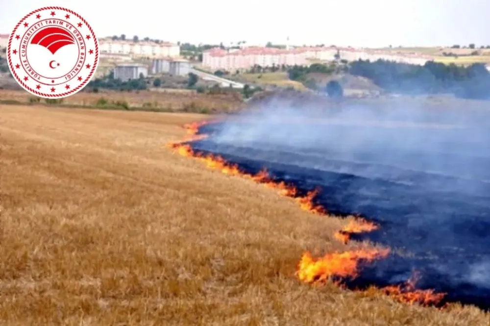 YASA TANIMIYOR, TOPRAĞI YAKIYORLAR!