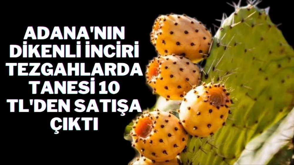  ADANA