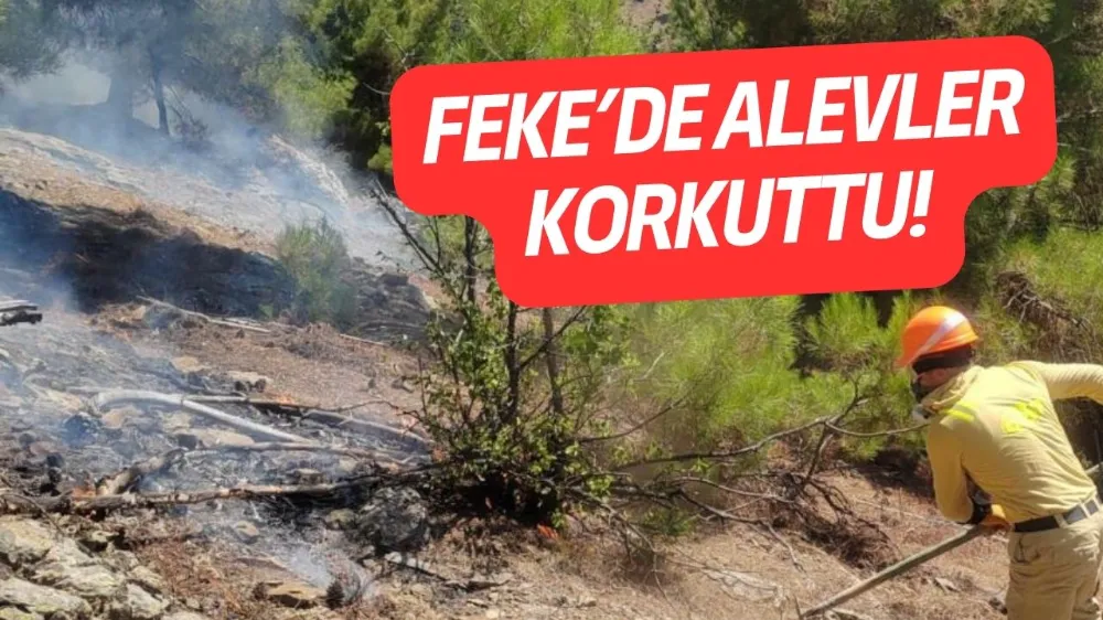 Feke’de Alevler Korkuttu!