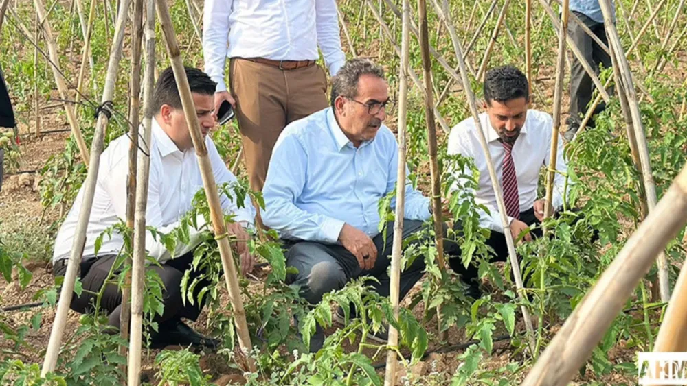 MİLLETVEKİLİ DOĞRU’DAN DOMATES ÜRETİCİLERİNE DESTEK ZİYARETİ